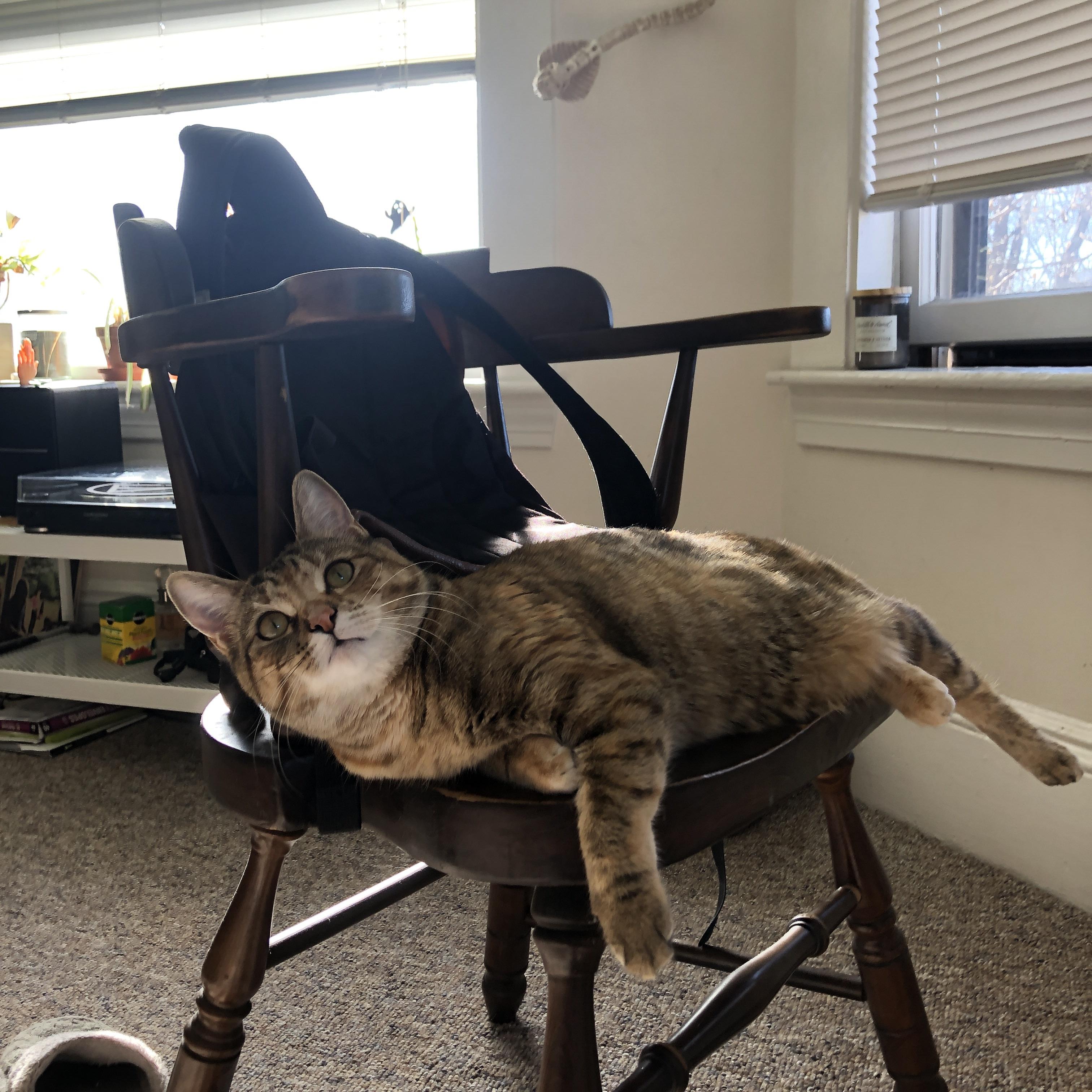 “中国女足首次亮相国际赛场,取得历史性突破”,中国女足队员获国际足联