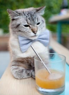 九游jiuyou-【传感器让投手更精准】科技让投垒比拼成为“数码战场”，投入式传感器使用方法